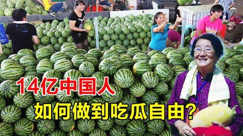 一发3万元的吃瓜视频,一场娱乐圈的“瓜”事狂欢