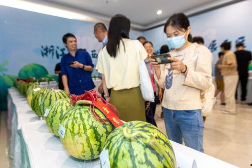 温岭吃瓜,一场全民参与的夏日盛宴