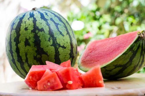 夏季吃瓜照,瓜果飘香，夏日吃瓜瞬间回顾