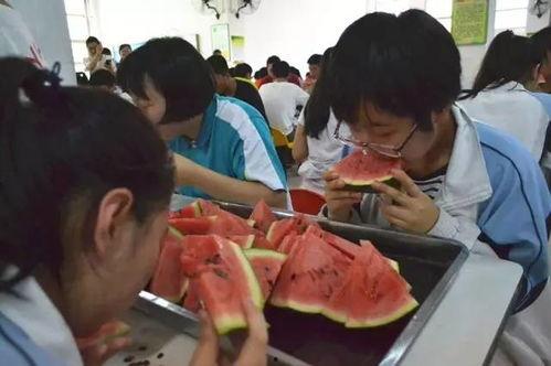 吃瓜事件老师乾安,吃瓜事件背后的教育启示