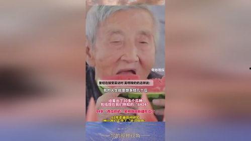 吃瓜老奶奶,她眼中的娱乐圈风云