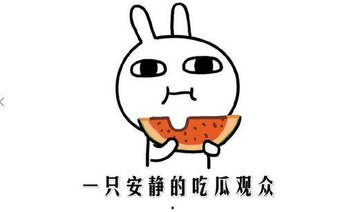 免费吃瓜啥意思,网络热词背后的文化现象