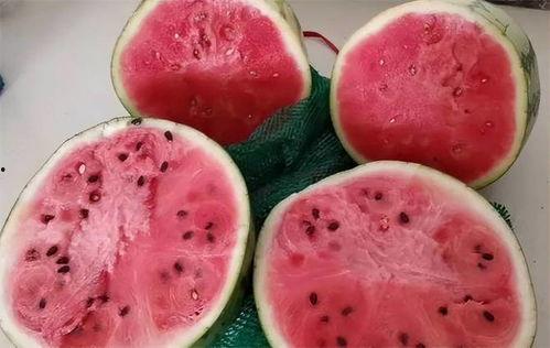 孩子吃麒麟瓜视频大全,孩子吃瓜视频大盘点