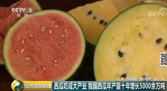 吃的瓜怎么变成瓜种,瓜子的奇妙蜕变之旅