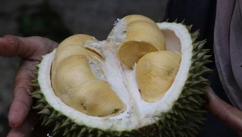 吃哈密瓜能吃榴莲,美味碰撞的奇妙食旅