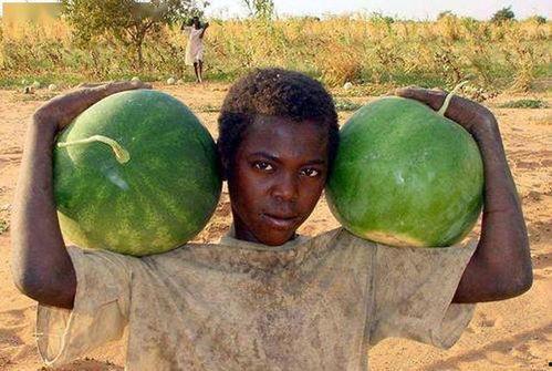 美国网上吃瓜,揭秘虚拟世界中的社交狂欢