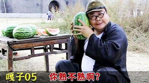 胖翻译吃瓜结果,揭秘网络热词背后的文化现象