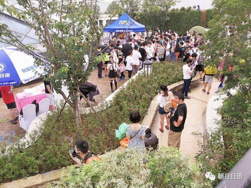 国产吃瓜朝阳,揭秘网络热点的幕后故事