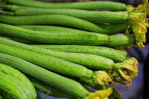 泡着吃的瓜,泡着吃的瓜，美味与健康的完美融合