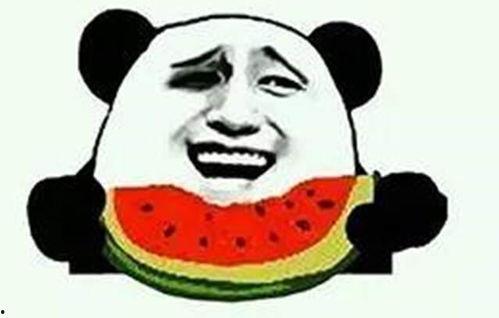 吃瓜网友号,网络舆论场中的“瓜王”传奇