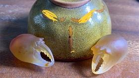 大叔吃瓜大碗,揭秘娱乐圈幕后故事