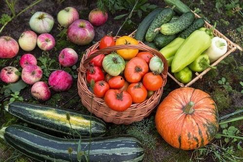 吃瓜裸体,揭秘娱乐圈的另类娱乐现象