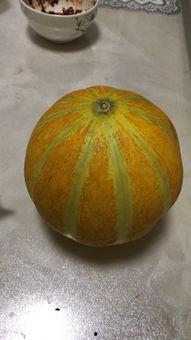 密瓜孕妇可以吃吗,安全与营养两不误