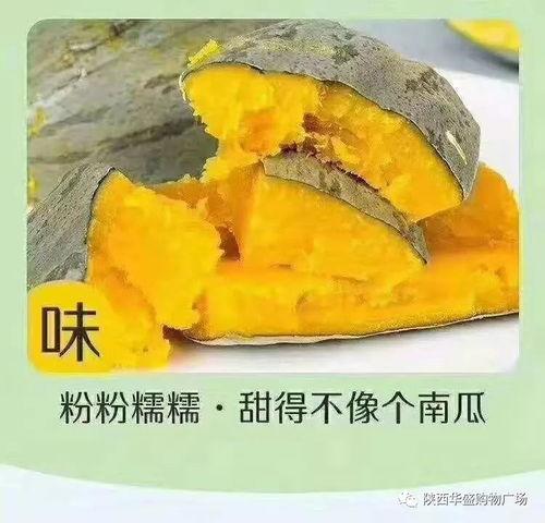 新疆板栗瓜怎么吃,解锁美味新体验