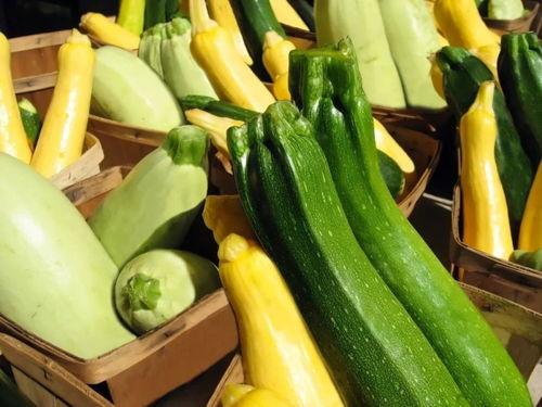 聊城最近吃瓜有点多,近期热点事件盘点