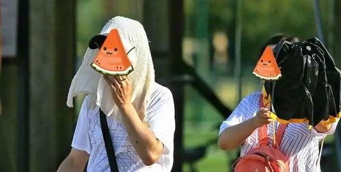 吃瓜本事最强,揭秘娱乐圈幕后真相