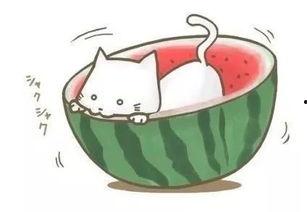 吃瓜遇到熟人,意外邂逅熟人的温馨瞬间