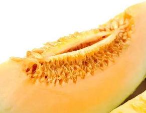 早孕吃蜜瓜,甜蜜滋味中的孕期营养之道