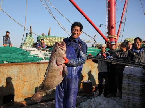 舟山吃瓜渔民被杀事件,一场惊心动魄的吃瓜悲剧揭秘